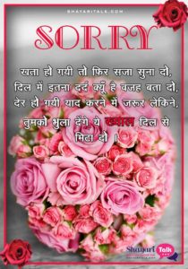 sorry shayari hindi for friends